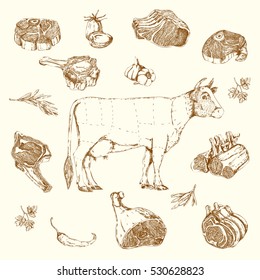 Meat hand drawn elements set with cow and parts of beef herbs and vegetables isolated vector illustration