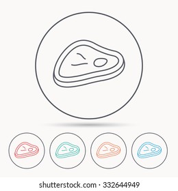 Meat icon. Beef steak sign. Barbecue meat slice symbol. Linear circle icons.