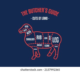 Meat and Lamb cuts. Diagrams for butcher shop. Scheme of Lamb. Vector Flat Illustration. Lamb butcher's guide. Used for cooking steak and roast - Leg, Loin, Rack, Foreshanks, Shoulder, etc.