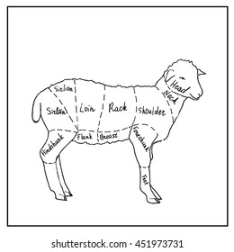 Meat menu. Cut lamb meat. Hand drawn vector stock illustration. Black and white whiteboard drawing.