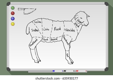 Meat menu. Cut lamb. Hand drawn vector stock illustration. Black and white whiteboard drawing.