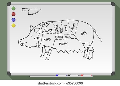 Meat menu. Cut pork. Pig with signs. Hand drawn vector stock illustration. Black and white whiteboard drawing.