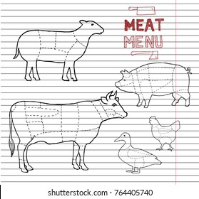 Meat menu on copybook background. Set of meat symbols, beef, pork, chicken, duck, lamb. Meat knife and meat axe. Menu cut. Hand drawn. vector illustration.