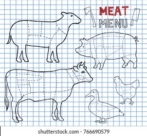 Meat menu on copybook background. Set of meat symbols, beef, pork, chicken, duck, lamb. Meat knife and meat axe. Menu cut. Hand drawn. vector illustration.