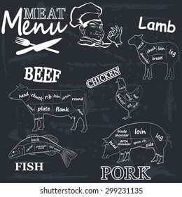  Meat menu. Set of meat symbols, beef, pork, chicken, lamb. Vector Illustration