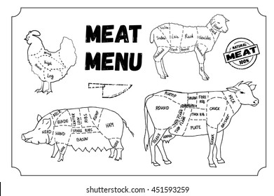 Meat menu. Set of meat symbols, beef, pork, chicken, lamb. Hand drawn vector stock illustration. Black and white whiteboard drawing.