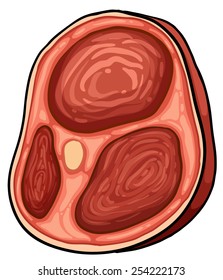 Ein Fleisch auf weißem Hintergrund