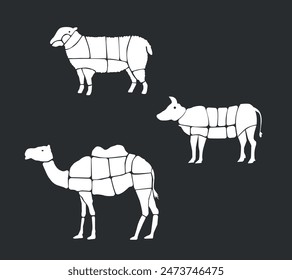 Meat parts of the cow,calf,camel,cock,sheep. Body parts of animals