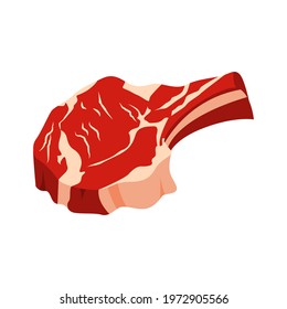 the meat is a piece on the bone. vector isolated on a white background.