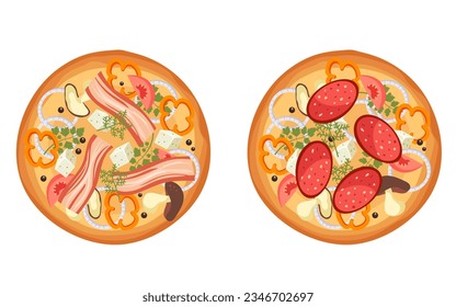 Meat pizza with cheese vegetable slice cheese mushroom isolated set. Vector flat graphic design illustration