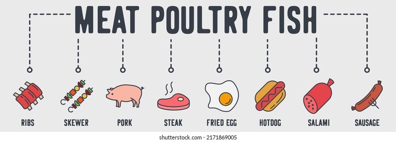 Meat, poultry, fish banner web icon. ribs, skewer, pork, steak, fried egg, hotdog, salami, sausage vector illustration concept.