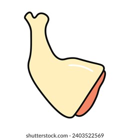 Meat product of food colorful set. This captivating meat-themed illustration showcases a meticulously designed chicken leg as the centerpiece against a pristine white background. Vector illustration.