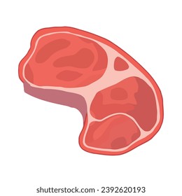 meat product ingredient illustration isolated