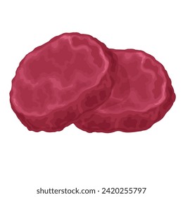 Meat product, raw cutlet, steak in vector format elements are isolated.