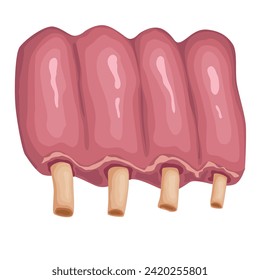 Meat product, raw steak in vector format elements are isolated.