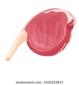 Meat product, raw steak in vector format elements are isolated.
