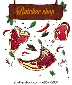 Meat product, vector illustration on white background, spices, bay leaf, pepper, wooden signboard, butcher shop, isolated, steak, set