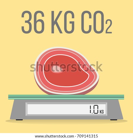 meat production of 1 kilogram of beef releases 36 kg CO2 flat design icon