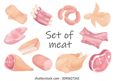Meat products elements isolated set. Bundle of chicken, pork, beef, steak, sausage, bacon, wings, ham, ribs and other. Assortment of the butcher shop. Vector illustration in flat cartoon design