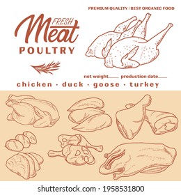 Meat products in a frame, engraved vector design. A set of pieces of fresh domestic poultry meat. A template for packaging meat products, stickers, or a flyer.