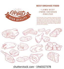 Meat products in a frame, engraved vector design. A set of pieces of fresh lamb meat. A template for packaging meat products, stickers, or a flyer.