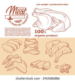 Meat products in a frame, engraved vector design. A set of pieces of fresh lamb meat. A template for packaging meat products, stickers, or a flyer.