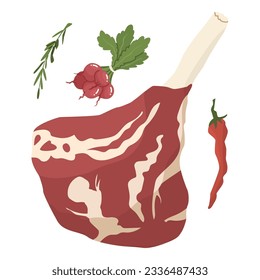 Meat products. Fresh beef, pork fillet. Meat on the bone. Thigh at the meat market. Concept for farms and food markets. Vector illustration isolated on white background.