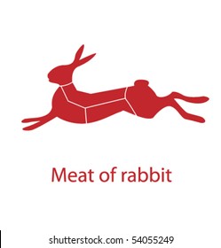 Meat of rabbit