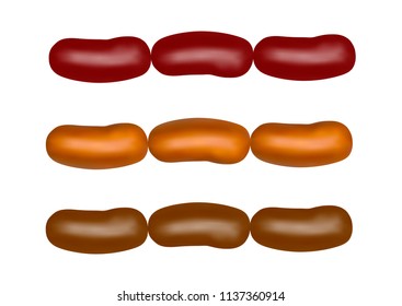 Meat sausage in the vector.Sausage on white background.Vector illustration.