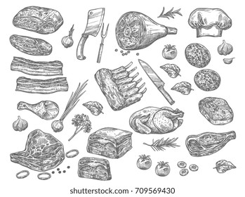 Meat Sketch Icons Set For Butchery Products. Vector Isolated Set Of Farm Fresh Meat Products Of Beef Loin Or Tenderloin Filet, Mutton Ribs Or Steak And Pork Meaty Ham Brisket, Chicken Or Turkey