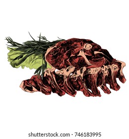 meat sketch vector graphics color picture
