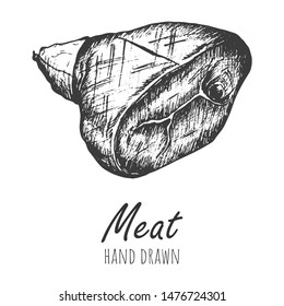 Meat sketch vector isolated illustration, hand drawn pencil sketch.