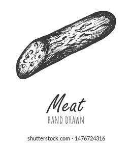 Meat sketch vector isolated illustration, hand drawn pencil sketch.