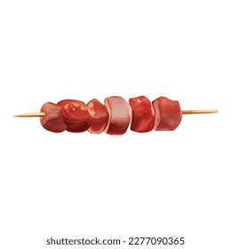 Meat Skewer Detailed Hand Drawn Illustration Painting