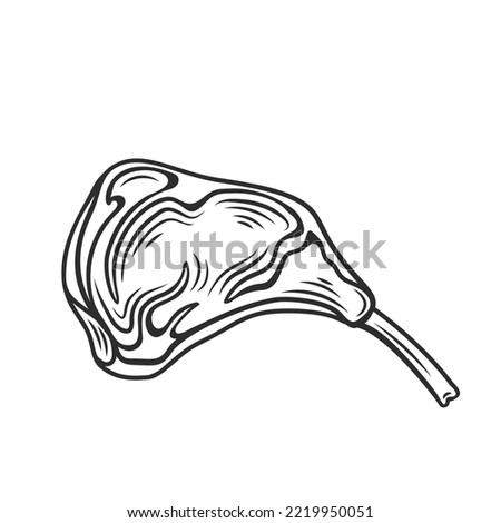 Meat steak with bone outline icon vector illustration. Line hand drawn raw chop from cow meat for steakhouse restaurant menu, prime beef steak on rib, product of butchery and protein food on dinner