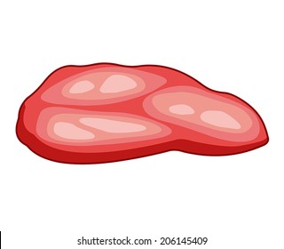 meat steak isolated illustration on white background