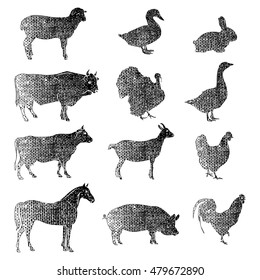 Meat Symbols. Hand Drawn Farm Animals. Vintage Vector Illustration In Vintage Style