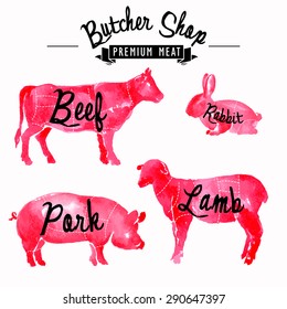 Meat symbols set pork, beef, lamb, rabbit, hand-drawing watercolor silhouettes in vintage style