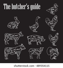 Meat Symbols Vector Illustration. Set Of Butcher Cut Scheme Vintage.