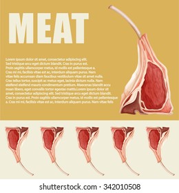 Meat theme with lamb chop and text illustration