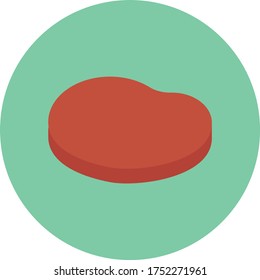 meat vector flat color icon 