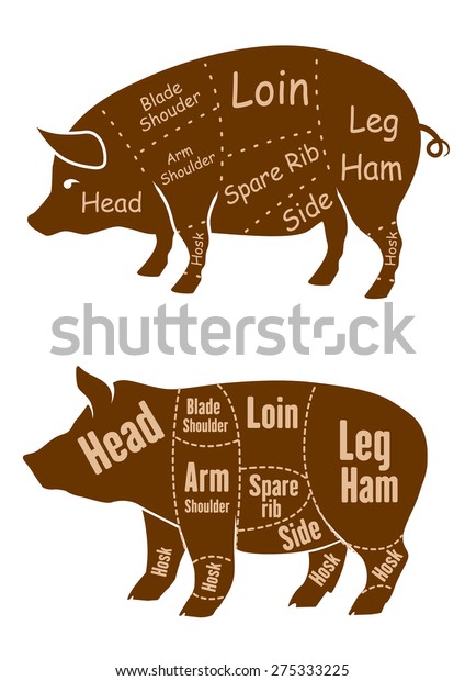 Meaty brown pigs with\
various outlines of different butchery cuts for retail pork and\
butcher shop design