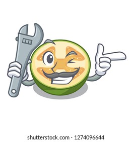 Mechanic fruit feijoa isolated on the mascot