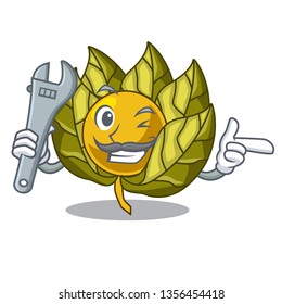 Mechanic physalis fruit in the cartoon shape