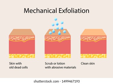 Mechanical exfoliation or peeling, vector illustration on light background isolated