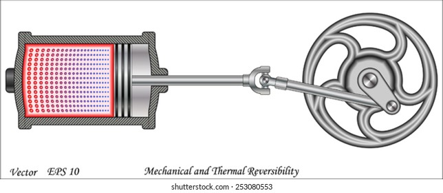 Mechanical and Thermal Reversibility