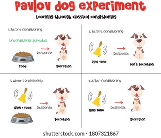 The mechanics of the Pavlov's conditioned response in psychology