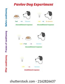 The Mechanics Of The Pavlov's Dog Experiment - Conditioned Response In Psychology. Classical Conditioning Or Respondent Conditioning For Learning New Stimulus. Made In Vector.