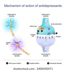 Wirkmechanismus von Antidepressiva. Nahaufnahme von Neuronen und synaptischer Spaltungen mit Neurotransmitter, Rezeptor, Mitochondrien und MAO-Enzymen. Vektorgrafik