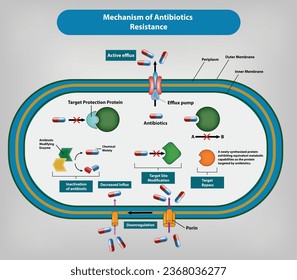 Mechanismus der Antibiotikaresistenz, Vektorgrafik und Illustration